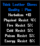 ThickLeatherGloves.png