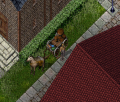 Thumbnail for version as of 01:45, 25 August 2025