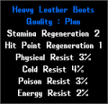 Heavyleatherboots.png